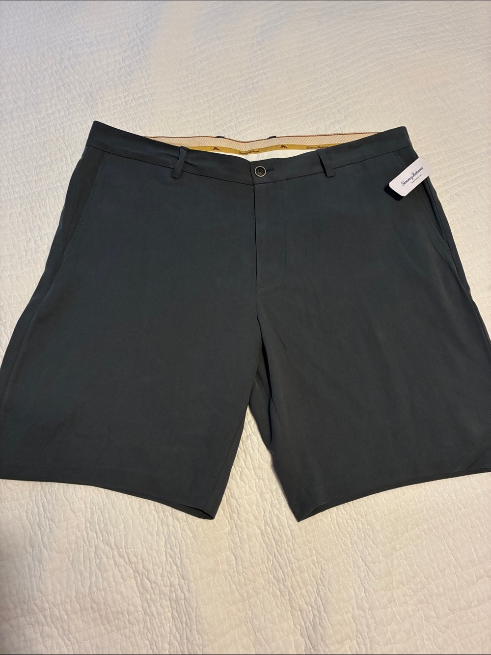 NWT Tommy Bahama 100% Silk Celestial Blue Shorts Size 40